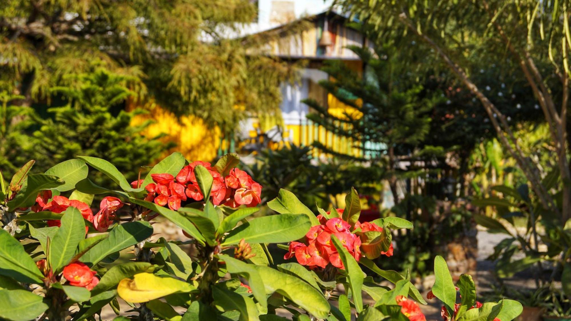 Namaste India Hostel Πουσκάρ Εξωτερικό φωτογραφία
